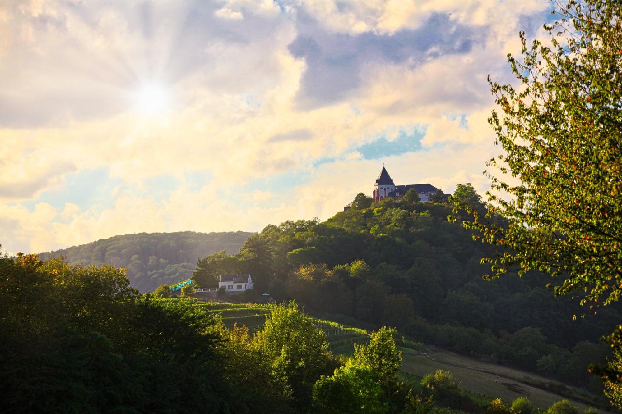 Mayer'S Weinhotel Zell an der Mosel Esterno foto